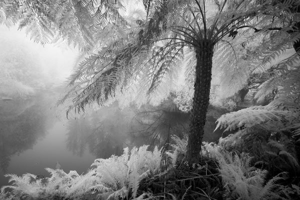 Geoff Smith Landscape photography black and white
